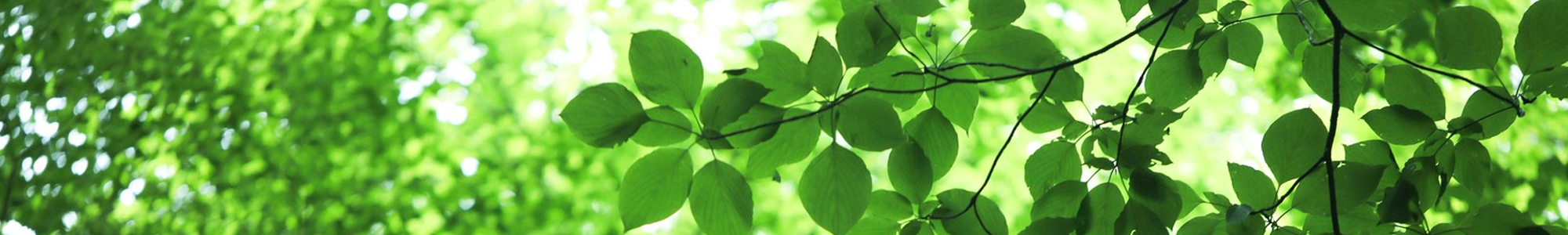 足圧（そくあつ）とは イメージ画像