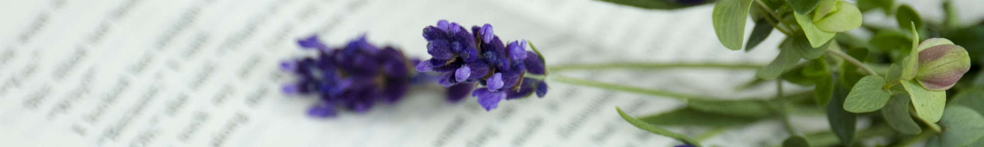 自然治癒力 イメージ画像